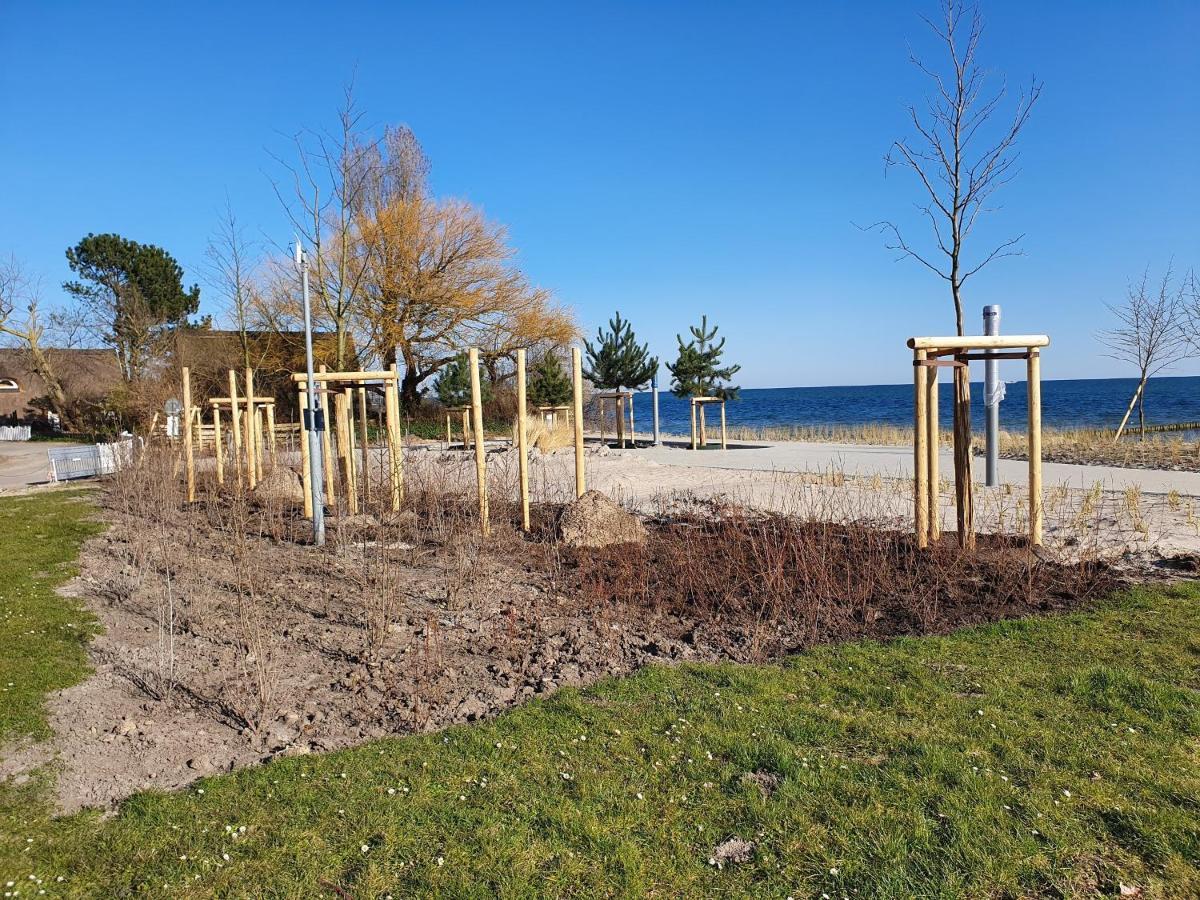 Sanddorn Haus Sanddorn - Whg 13 Großenbrode Εξωτερικό φωτογραφία